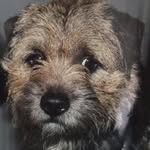Ann Waugh - @waugh9437 - Instagram