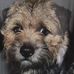 Ann Waugh - Facebook