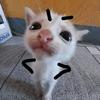 :) - @ann.wax - TikTok