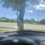 Anne Weakley - Facebook