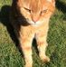 Anne Weale - Facebook