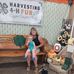Ann Weatherhead - Facebook