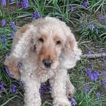 Anne WEATHERHEAD - @anneweatherhead1 - Instagram