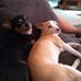 Ann Weaver - Facebook