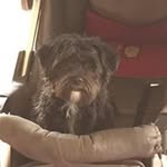 Anne Wedge - @wedge.anne - Instagram