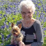 Ann Weesner King - @annweesnerking - Instagram