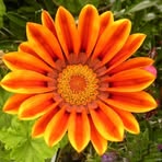 Ann Wegman - Facebook