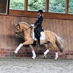 𝘼𝙣𝙣𝙖 𝙒𝙚𝙜𝙢𝙖𝙣𝙣 by Ponydressur-Zentrum AW - @annawegmannpdz - Instagram