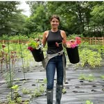 Anne Wegman-Collins - @allthepretttyflowers - Instagram