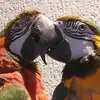 annemarievandijkwegman - @annemarievandijkwegman - TikTok