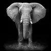 Annet Wegman - @annet.wegman - TikTok