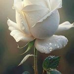 Ann Wehrle - @wehrle.ann - Instagram