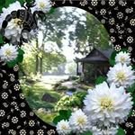 Sue Ann Weidner - @simply_sweet_boar_goats - Instagram