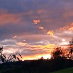 Anna Maria Weikelstorfer - @annamariaweikelstorfer - Instagram