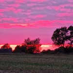 Ann-Margreth Weiland - @anwe001 - Instagram
