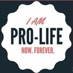 Ann McGuire Weimer - @annmweimer - Instagram