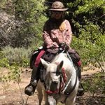 Ann Weimer - @trailsailannie - Instagram