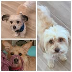 Ann Weiner - @anni_w_629 - Instagram