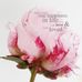Ann Weir - Facebook