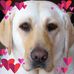 Ann Weiser - Facebook