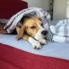 Anna - @anna.weiser5 - TikTok