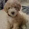loriannweiserbets - @lori.ann.weiser.b - TikTok