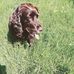 Ann Welch - Facebook