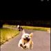 Ann Welch - Facebook