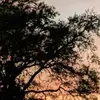 Ann Welch - @ann.welch65 - TikTok