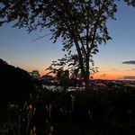 Ann Wellman - @wellman230 - Instagram