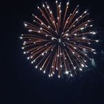 Mary Ann Wellman - @mary.a.wellman - Instagram