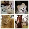 Ann Welsh - @ann.welsh3 - TikTok
