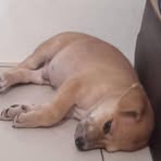 Ann Wen - Facebook