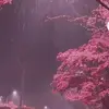 Annwen - @annwen7 - TikTok