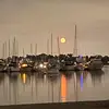 anna_wenger - @shipcalledfantasii - TikTok