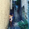 AnnaWengerweld - @annawenger - TikTok