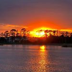 Ann Wentz - @uncannie3 - Instagram