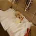 Dora Ann Wentz - Facebook