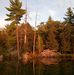 Ann Werle - Facebook