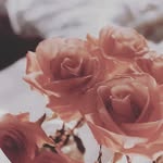 Annette - @anna_werrington - Instagram
