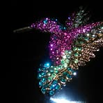 Anne Werth - Facebook