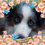 Anne-Grete Wesenberg - Facebook