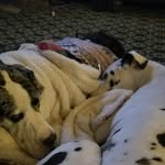 Ann Wessels - @ann.wessels.5 - Instagram