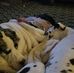 Ann Wessels - Facebook