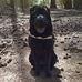 Anneke Wesselink - Facebook