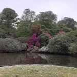 Ann Westall - @westallann - Instagram