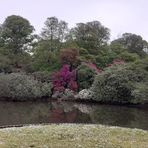 Ann Westall - Facebook