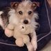 Ann Westcott - Facebook