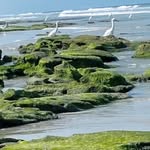 Ann Westcott - @aw772024 - Instagram