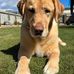 Ann M Westerhof - Facebook